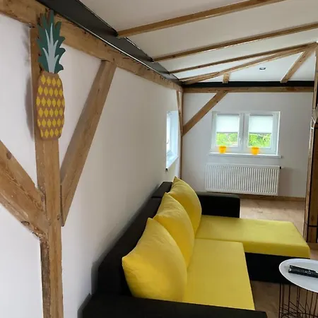 Totugdynia 8 غدينيا